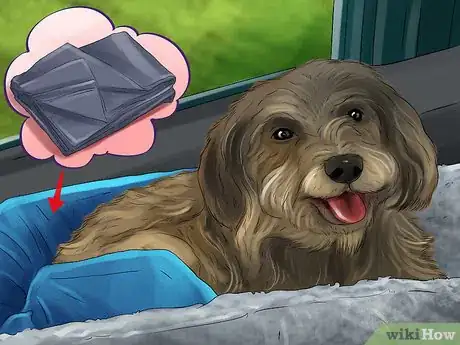 Image titled Prevent Your Dog from Becoming Carsick Step 9