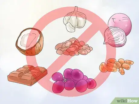 Image titled Give Dogs What They Need Step 14