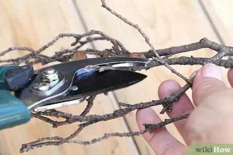 Image titled Make a Twig Picture Frame Step 2