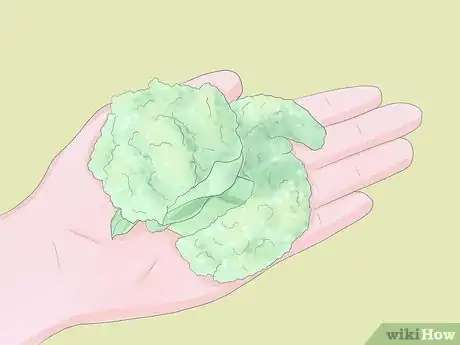 Image titled Grow Rhubarb Step 9