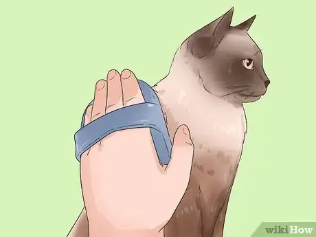 Image titled Care for a Balinese Step 9