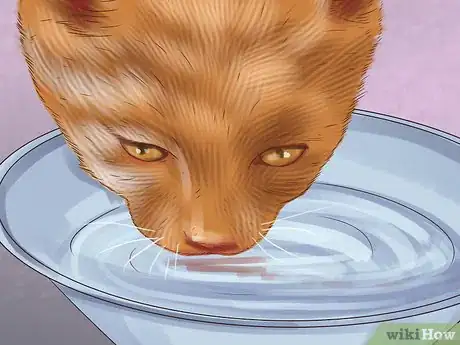 Image titled Help Your Cat Age Well Step 6