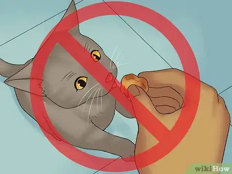 Image titled Eat Without a Cat Begging Step 2