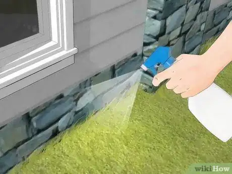 Image titled Get Rid of Boxelder Bugs Step 10