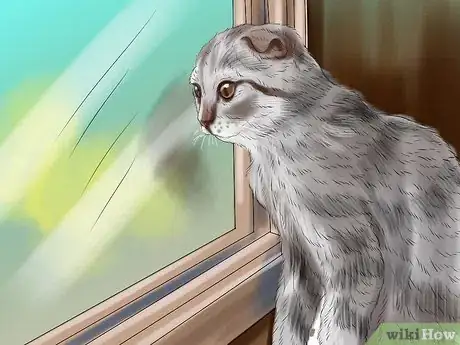 Image titled Diagnose and Treat Feline Toxoplasmosis Step 12