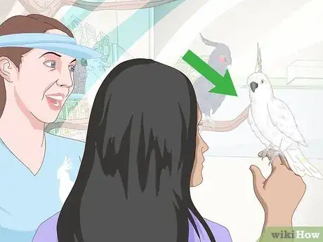 Image titled Choose a Cockatoo Step 18