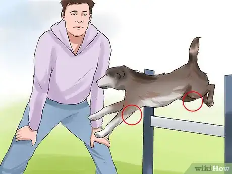 Image titled Get Your Dog to Jump Poles Step 9