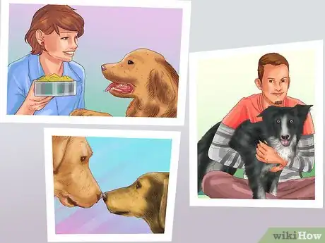 Image titled Choose the Right Care for Your Dog While on Vacation Step 10