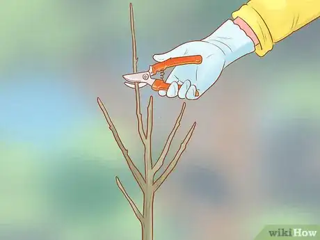 Image titled Prune a Fruit Tree Step 4