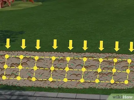 Image titled Plant a Beech Hedge Step 9