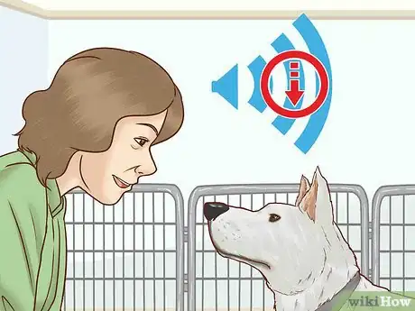 Image titled Interact with a Dog Before Adopting It Step 8