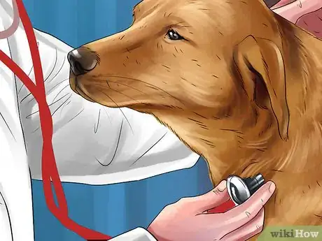 Image titled Get a Dog to Vomit Step 9