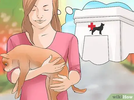 Image titled Diagnose Canine Cancer Step 6