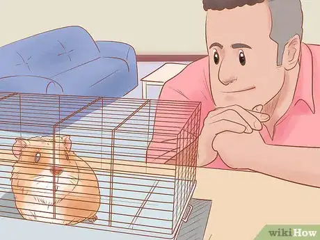 Image titled Neuter Your Guinea Pig Step 15