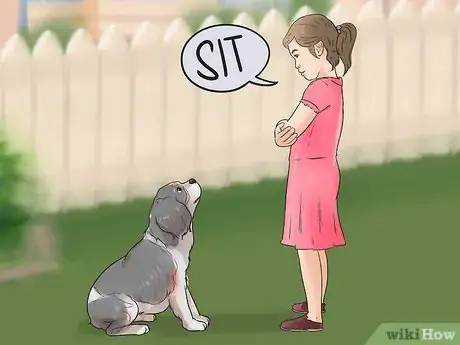 Image titled Bond with a Shy Dog Step 7