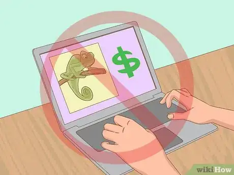 Image titled Buy a Chameleon Step 6