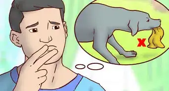 Choose a Good Dog Sweater