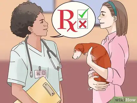 Image titled Know if Your Older Dog Suffers from Separation Anxiety Step 10