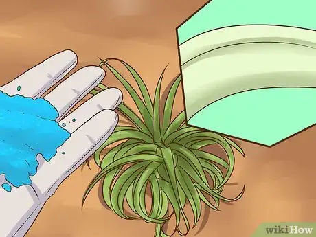 Image titled Care for Air Plants Step 8