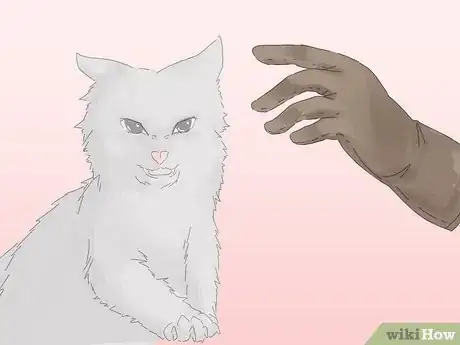 Image titled Handle a Stray Cat Step 17