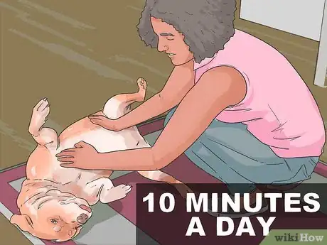 Image titled Get Your Dog to Welcome Your Baby Step 9