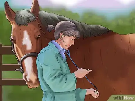 Image titled Stop Your Horse from Chewing Things Step 7
