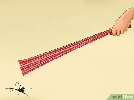 Image titled Avoid Getting Bitten by a Black Widow Step 13