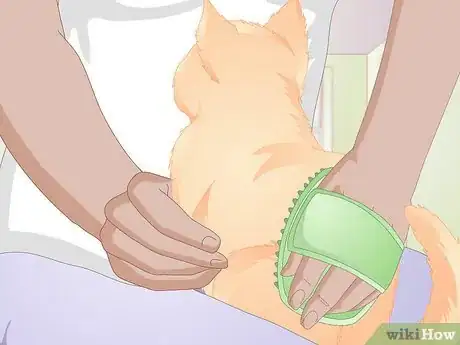 Image titled Find Alternatives to De Clawing Your Cat Step 4