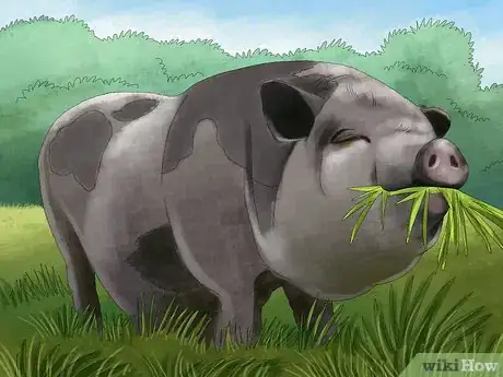 Image titled Manage Pastures Using Rotational or Management Intensive Grazing Step 30