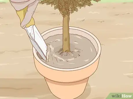 Image titled Plant a Mesquite Tree Step 14