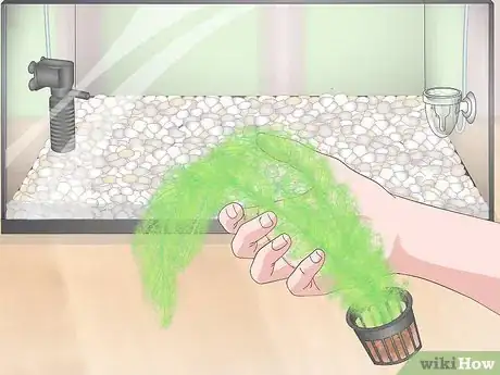 Image titled Set up a Planted Goldfish Aquarium Step 11