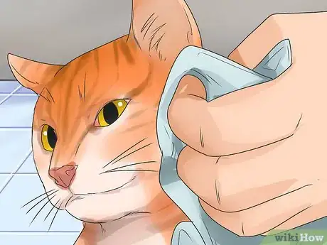 Image titled Help Your Cat Enjoy Having a Bath Step 6