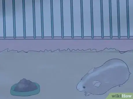 Image titled Set a Routine for Your Hamster Step 6