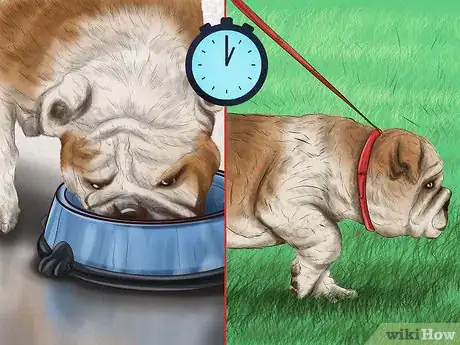 Image titled Prepare Your Small Dog for Apartment Living Step 6