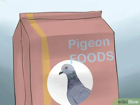 Image titled Tame Pigeons to Be out of Cage Permanently Step 22