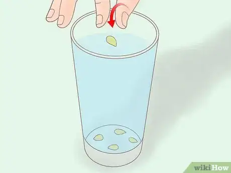Image titled Plant a Lemon Seed Step 14