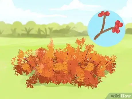 Image titled Plant a Deer‐Resistant Garden Step 5