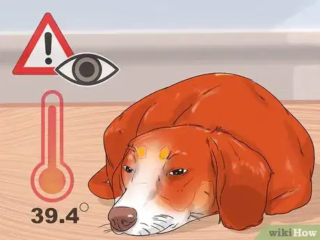 Image titled Promote Safe Whelping for Short Legged Dog Breeds Step 7