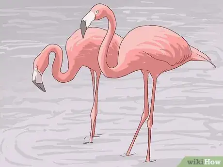 Image titled Visit SeaWorld San Diego Step 18