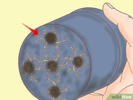 Image titled Plant a Lemon Seed Step 26