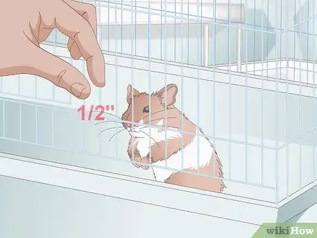 Image titled Select a Hamster Cage Step 5