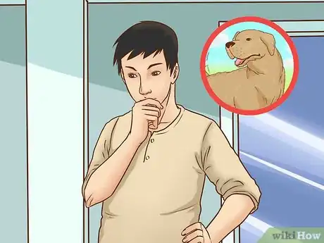 Image titled Adopt a Senior Dog Step 11