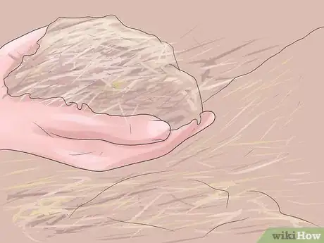 Image titled Grow Rhubarb Step 7