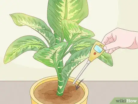 Image titled Why Does Your Plant Have Yellow Leaves Step 4