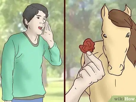 Image titled Teach a Horse to Come when Called Step 2