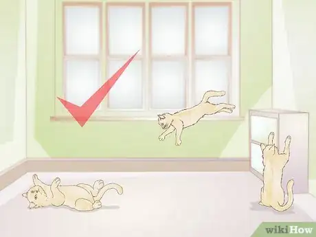 Image titled Keep an Indoor Cat Active Step 8