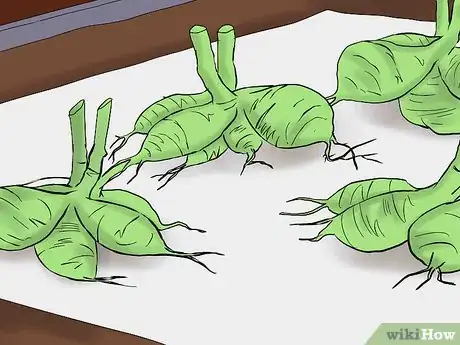 Image titled Overwinter Dahlias Step 5