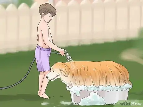 Image titled Give Your Dog a Make Over Step 8