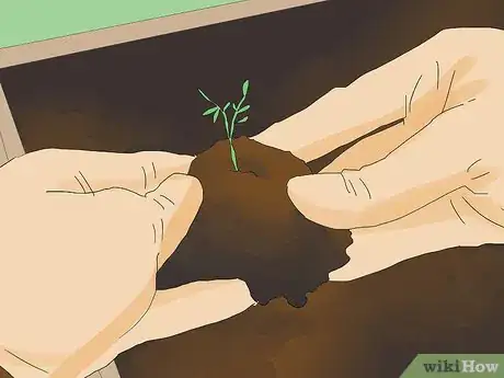 Image titled Create a Fairy Garden Step 6