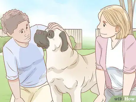 Image titled Care for an English Mastiff Step 12